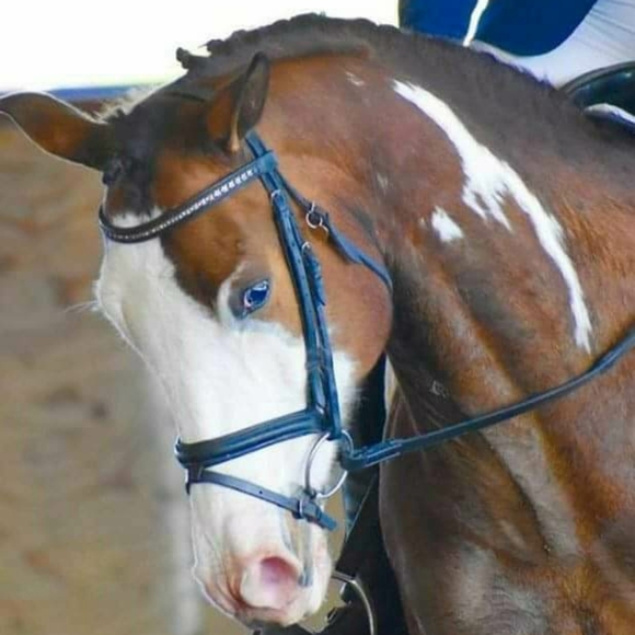 Meet your Posher, Brenda, ~HipFarmChick Designs~ - Picture 6 of 16